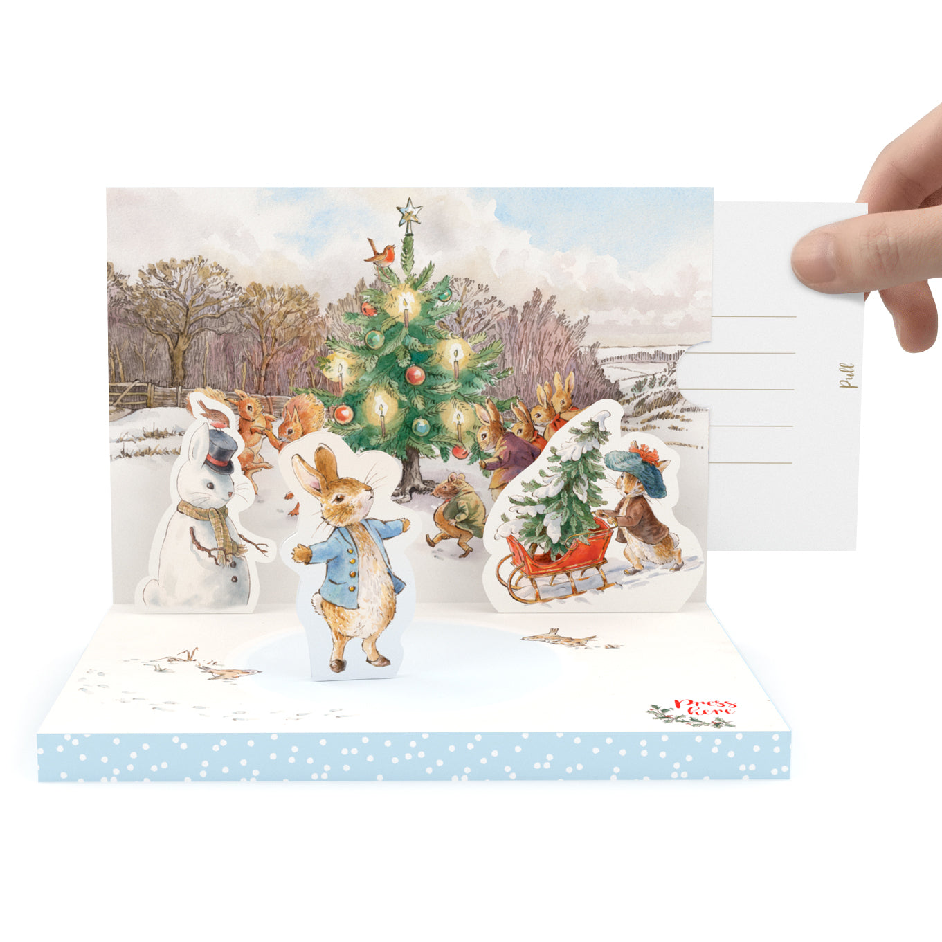 Peter Rabbit Music Box Card